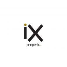 IX-logo design